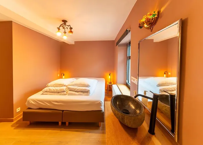 Hotel - Le Vieux Marronnier *