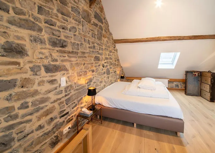 Hotel - Le Vieux Marronnier *