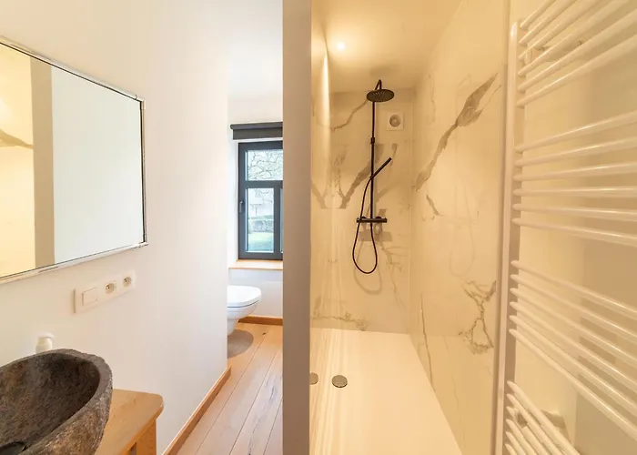 - Le Vieux Marronnier