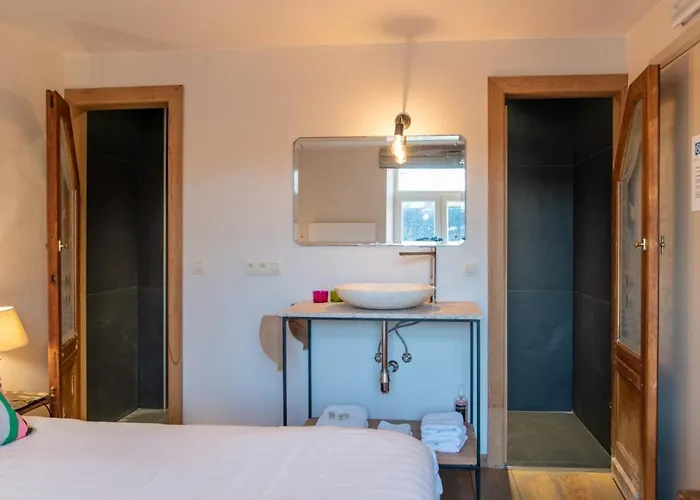 Hotel - Le Vieux Marronnier *