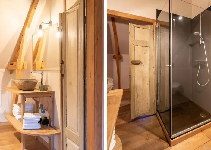 - Le Vieux Marronnier Foy-Notre-Dame