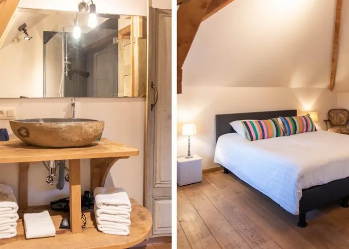 - Le Vieux Marronnier